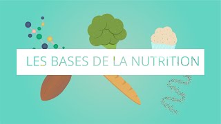 Les bases de la nutrition [upl. by Ainez]