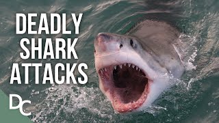 Deadly Shark Attacks Of Australia  Shark Alarm Australias Deadliest Year  Documentary Central [upl. by Niwrek]