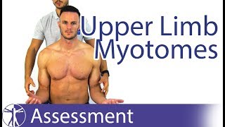 Myotomes Upper Limb  Peripheral Neurological Examination [upl. by Grannia]