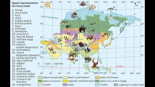 Asia  zonele biogeografice vegetația fauna și solurile  lecție de geografie [upl. by Hermina873]