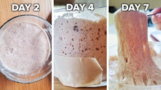 How To Make A Sourdough Starter From Scratch • Tasty [upl. by Aissela]