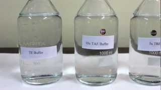 Preparation of Buffer stocks TBE TE and TAE  Amrita University [upl. by Bobine]