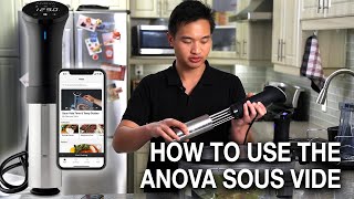 How to Use the Anova Sous Vide Precision Cooker [upl. by Armelda]