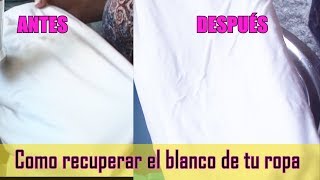 Cómo blanquear la ropa blanca con productos naturales  How to clean white clothes  EMDG [upl. by Adlih]