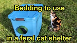 Bedding to use in a feral cat shelter [upl. by Submuloc]