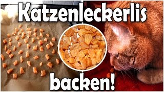 Katzenleckerlis selber backen DIY [upl. by Enrika]