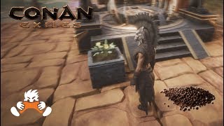 How to make Potent Compost Whatchouwant in 90 Seconds Conan Exiles [upl. by Narual]