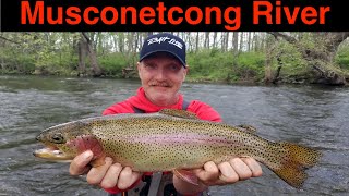 Musconetcong River Trout Fishing [upl. by Forland420]