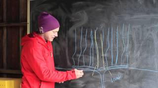 How to  Prune Grape Vines [upl. by Sandon]