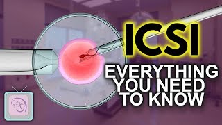 IVF ICSI Procedure  Important things you need to know [upl. by Downs35]