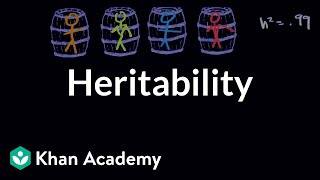 Heritability  Behavior  MCAT  Khan Academy [upl. by Oulman329]