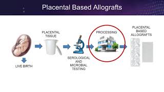 Placental Based Allografts From Womb to Wound [upl. by Rusel]