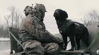 Understanding the Boykin Spaniel A Valley Way Film [upl. by Nytram426]