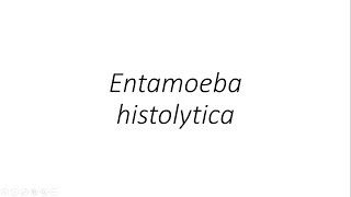 Entamoeba histolytica  Parasitology [upl. by Patrizius]