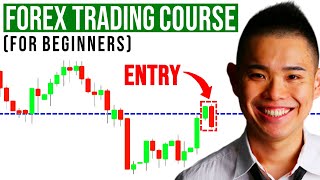 The Ultimate Forex Trading Course For Beginners [upl. by Aisac]