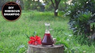 Homemade Hibiscus Shampoo To Grow Hair Faster amp Thicker [upl. by Ennahoj]