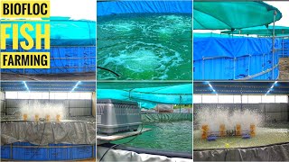 Biofloc Tank Aeration Air Pump System  Biofloc Fish Farming Technology [upl. by Latvina67]