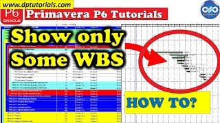 How To Show Only Some WBS In The Gantt Chart In Primavera P6  Free Primavera p6 Online tutorials [upl. by Zeeba]