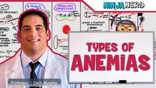 Hematology  Types of Anemias [upl. by Lalla]