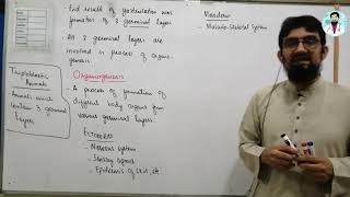 Organogenesis  Fate of Three Germinal Layers  Hindi  Urdu [upl. by Salomon563]