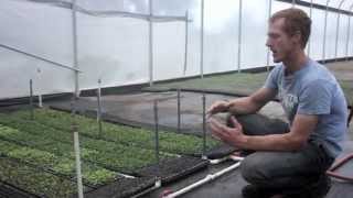 Timed Misting System at Johnsons Backyard Garden Austin TX [upl. by Steinberg647]