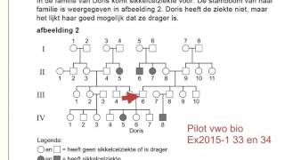 vwo biologie examen 20151 uitleg 33 en 34 stamboom [upl. by Zzahc]