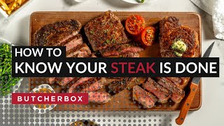 From Rare to WellDone Meat Temperatures for Perfect Steaks [upl. by Iuq]