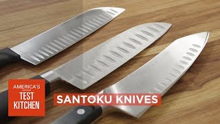 Equipment Review Best Santoku Knives amp Our Testing Winners [upl. by Arataj722]