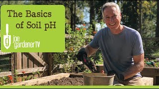 The Basics of Soil pH [upl. by Carri]