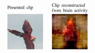 Movie reconstruction from human brain activity [upl. by Shapiro]