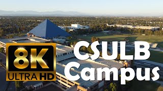 California State University Long Beach  CSULB  8K Campus Drone Tour [upl. by Ellek]