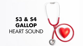 S3 and S4 Gallop  Heart Sounds  MEDZCOOL [upl. by Scevor]