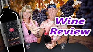 Fantini Sangiovese Wine Review [upl. by Coster903]