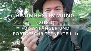 Baumbestimmungskurs 2020 Teil 1 [upl. by Maxim]