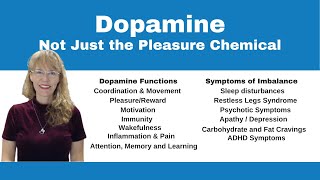 Demystifying Neurotransmitters Serotonin Dopamine and Beyond [upl. by Earej]