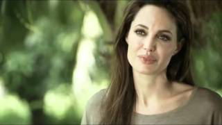 Top 10 Angelina Jolie Movies [upl. by Ynaffital699]