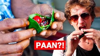 WHAT IS PAAN  Indian Food [upl. by Halyk778]