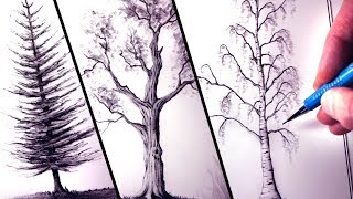 How to Draw Trees [upl. by Flip]