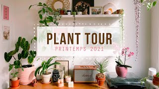 PLANT TOUR 2021 – Ma collection de 80 plantes dintérieur 🌿 [upl. by Novah809]