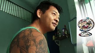 The Stories Of The Bali Nine On Death Row In Indonesia 2011 [upl. by Lebar]