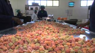 The dried fruit factory process [upl. by Anos]