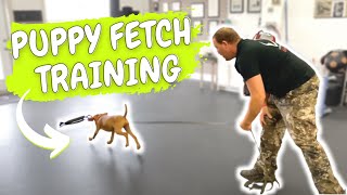 VIZSLA PUPPY TRAINING  Teach Fetch Using Toys and Food [upl. by Kimberli598]