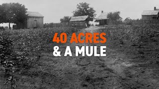 Land Giving Rise to the Famous Phrase 40 Acres amp a Mule [upl. by Varney]