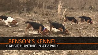 Rabbit Hunting In ATV Park  Bensons Kennel [upl. by Teeniv]