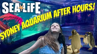 Sydney Aquarium 2021  full walk through  no crowds [upl. by Marie-Ann]