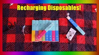 How to RECHARGE Mr Vapor Disposables Easy [upl. by Shannah]