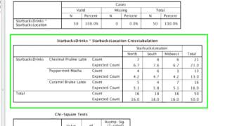 Chi Square Test of Independence in SPSS  In Depth [upl. by Stuppy]