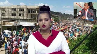 Oromo news oduu obn afaan oromoo [upl. by Delbert]