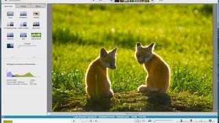 Google Picasa Free Photo Editing Program Tutorial [upl. by Lizzy]