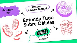 CITOLOGIA  BIOLOGIA  QUER QUE DESENHE [upl. by Oicaroh194]